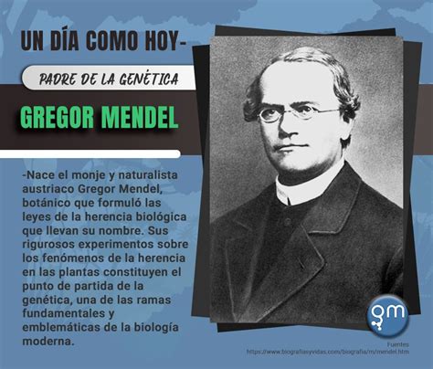 Actualizar Imagen Biografia De Mendel Padre De La Vrogue Co