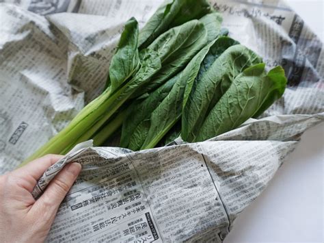捨てる新聞紙で野菜長持ち 知っておきたい野菜保存法 サンキュ！
