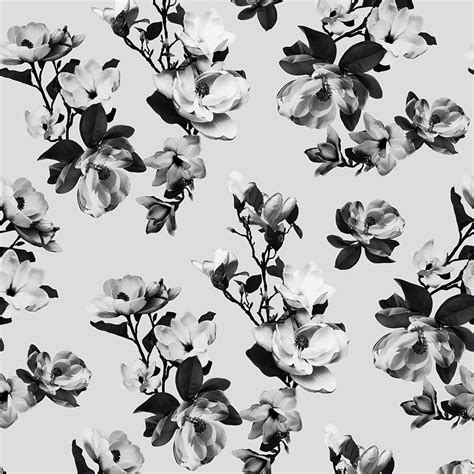 Modern Black And White Wallpapers Top Free Modern Black And White