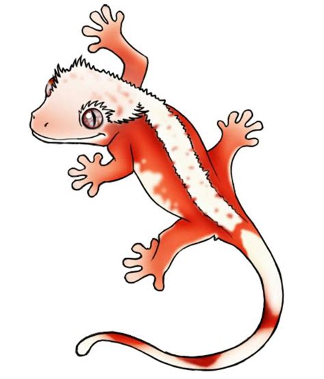 Pin By Nick Rice On Tatueringsidéer Cute Lizard Crested Gecko