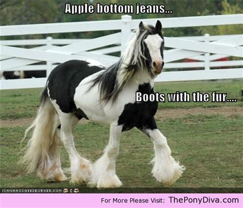 Sounds perfect wahhhh, i don't wanna. Apple Bottom Jeans Boots with the Fur | Funny Horse Stuff ...