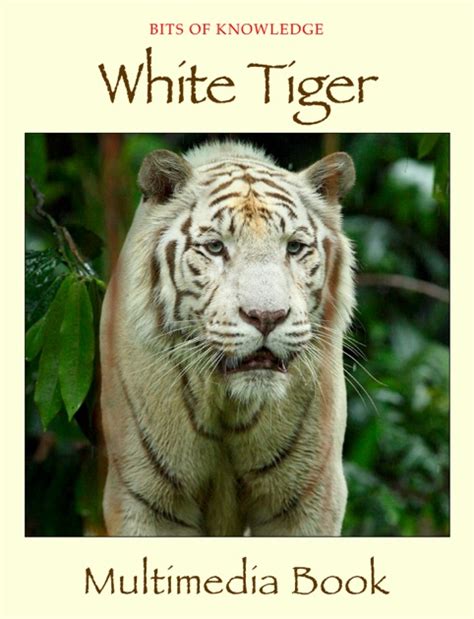 White Tiger By Winktolearn And Virtual Gs On Apple Books