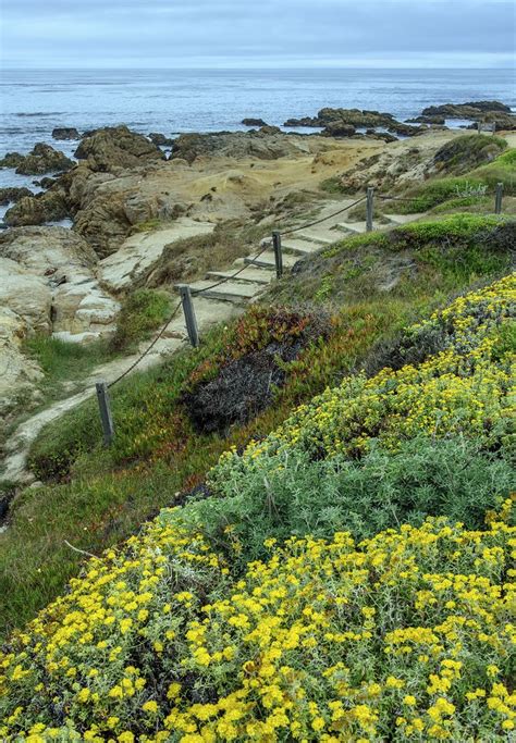 About Usa Pacific Grove California Usa By Pacific Grove