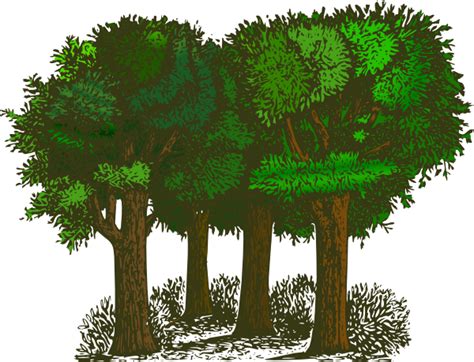 Trees Clip Art At Vector Clip Art Online