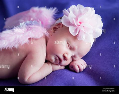 Beautiful Newborn Baby Girl Sleeping On A Blanket Stock Photo Alamy