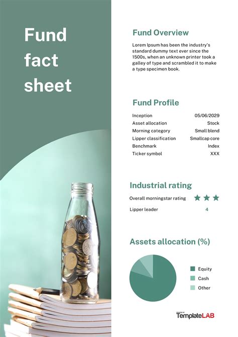 Beautiful Fact Sheet Templates Examples And Designs