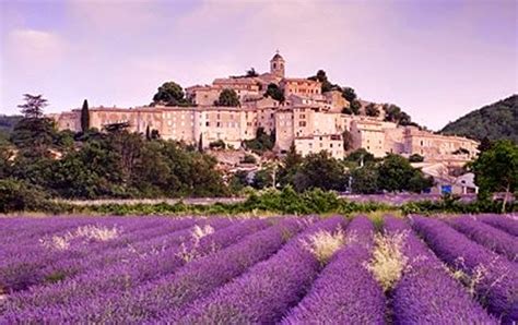 20 Stunning Pictures Of Lavender Fields In France