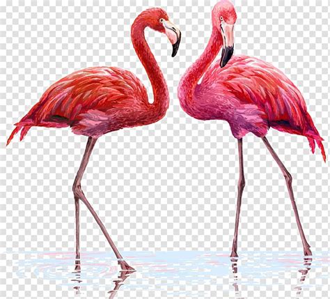 Pink Flamingo Clipart A Pair Of Pink Birds Digital Png Clipart My Xxx Hot Girl