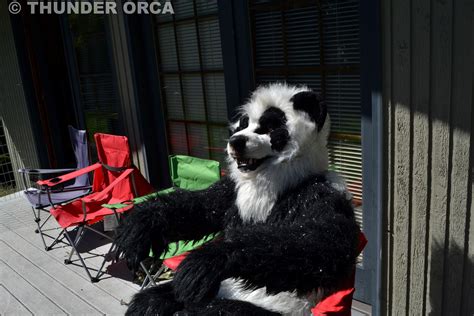 My Panda Fursuit Part 5 — Weasyl
