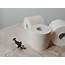White Toilet Paper Rolls · Free Stock Photo