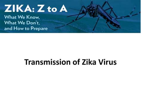Transmission Of Zika Virus Ppt