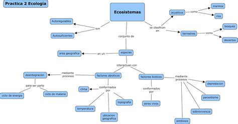 Cuaderno De Biologia Mapa Conceptual De La Practica De Ecosistemas