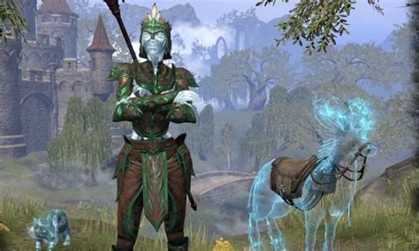 The Best Warden Class Builds For Eso High Ground Gaming
