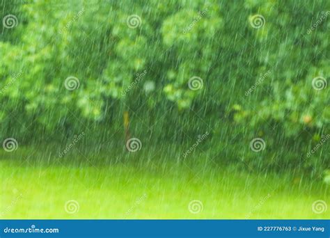 Heavy And Fast Rain Drops Falling In Green Forest And On Grass Stock