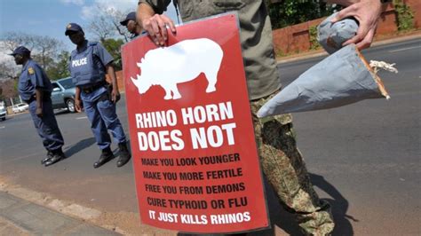 Four Views How Can We Save The Rhino From Poachers Bbc News