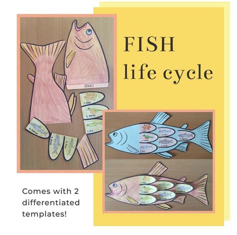 Fish Life Cycle Art Activity Word Wall Posters And Printable Books