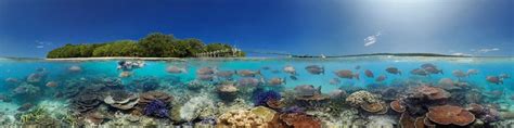 Vanuatu Is Somewhat Well Known As A Diving Destination Mostly Because