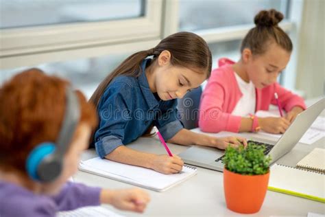 Boy Focused While Studying Stock Image Image Of School 63526719