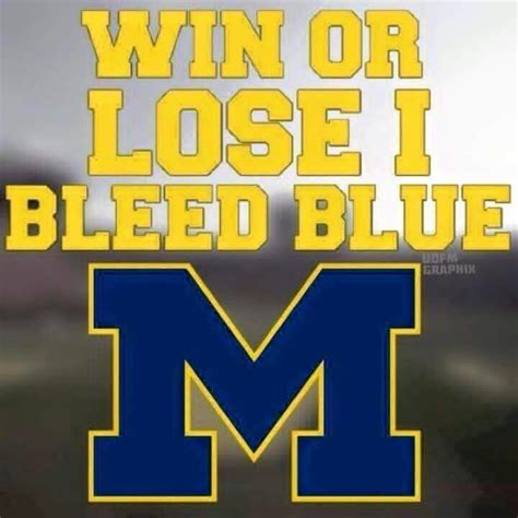 878 Best Go Blue Images On Pinterest Michigan Wolverines Football