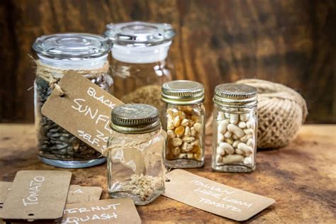 Creative Seed Storage Ideas Interesting Containers For Seed Saving