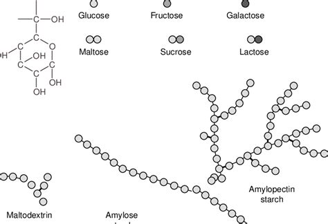 Overview Of Different Carbohydrates And Their Structure There Are 3