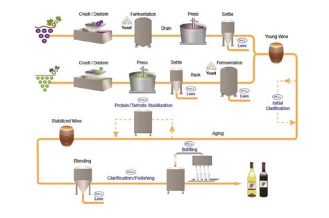 Wine Filtration Wine Filtering Systems Pall Corporation