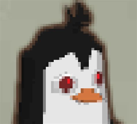 User Blogninipenguinsthe Meme Penguins Club Animal