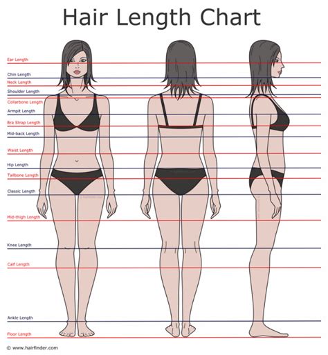 If you're dying your hair for the very first time, then once you've figured out what kind of hairs you have and its proper length, use the length hairs chart to find your perfect haircut. Descriptions of hair lengths and growing times | Hair ...