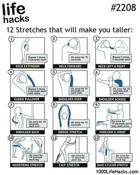 Stretches That Will Make You Taller Musely