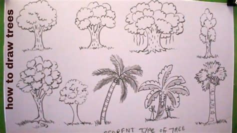 How To Draw Trees Step By Step Easydifferent Type Of Treetree Drawing