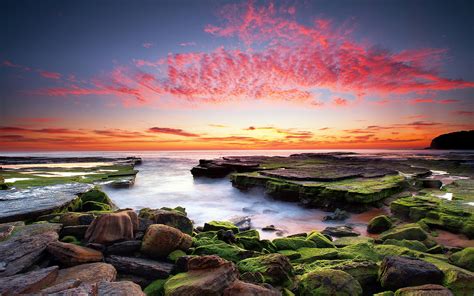 Sunset Coast In Australia Waves Rocks With Green Moss Sky