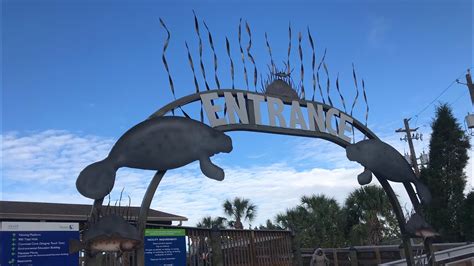 Teco Manatee Viewing Center In Apollo Beach Youtube