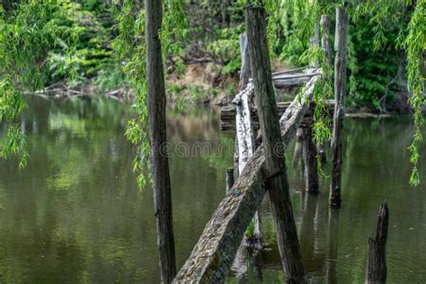 Old Bridge Over The Lake An Old Broken Wooden Bridge Across The Lake