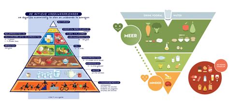 Comparing the old food pyramid to the new one can be the first step to understanding what the body needs and how to stay lean. The new food pyramid | Profacts