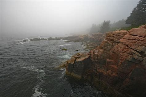 Foggy Morning In Acadia National Park Maine Stock Image Image Of