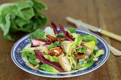 Chicken And Almond Salad Recipe Maggie Beer