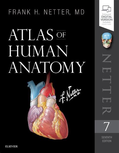 Atlas Of Human Anatomy 9780323393225 Frank H Netter Boeken