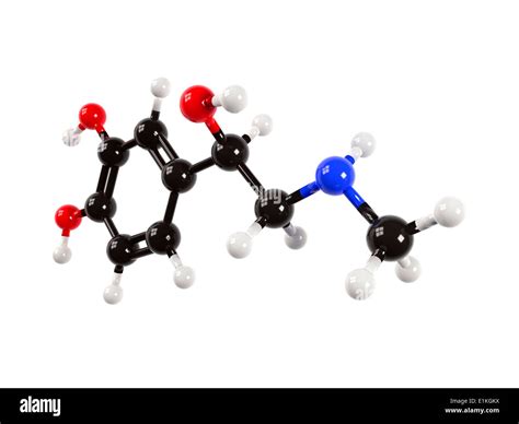 Adrenaline Hormone Molecule Computer Artwork Showing The Molecular
