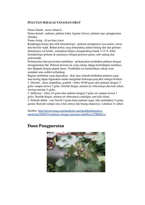 (DOC) PULUTAN SEBAGAI TANAMAN OBAT.doc - DOKUMEN.TIPS