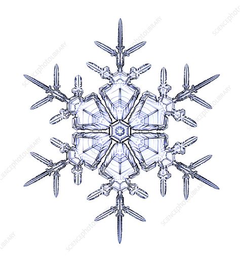 Snowflake Light Micrograph Stock Image C0255946 Science Photo