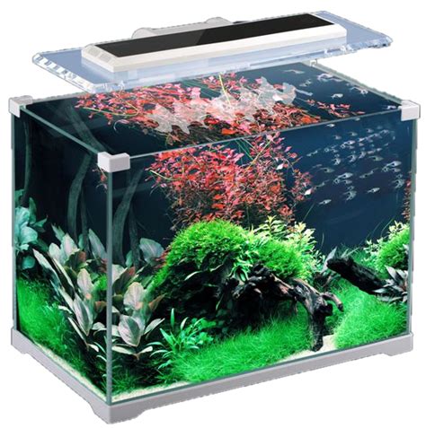 Aquarium Transparent Background Png Play