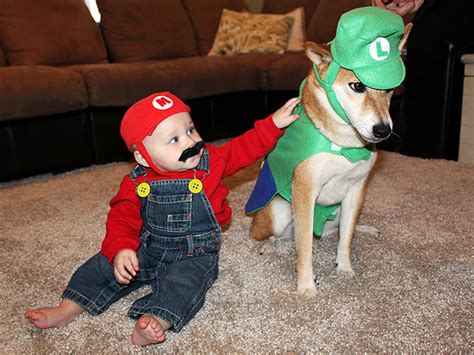 Super Mario Bros Animal Costumes Animals Wearing Gamer Gear