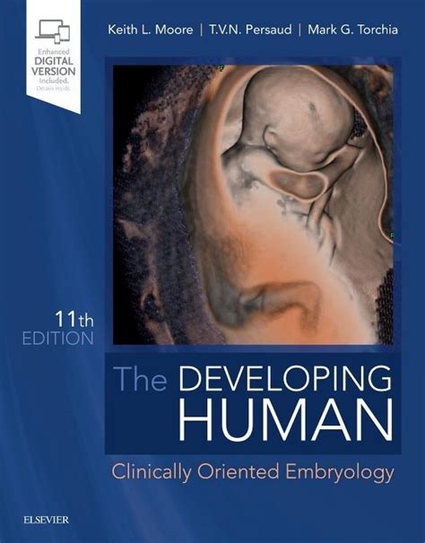 The Developing Human Clinically Oriented Embryology Keith L Moore U A Buch Ebay