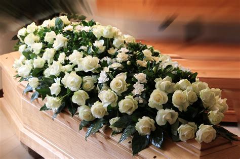 Immagini di belle rose rosse in alta definizione da scaricare gratuitamente e usare come sfondo. Cuscino Copribara di Rose e Azalea