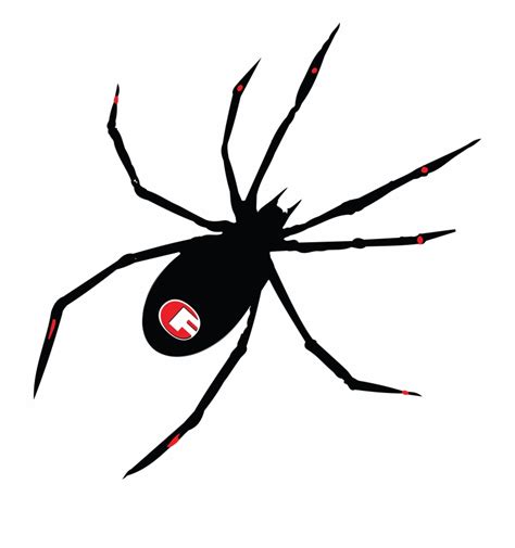 Spider Png File Halloween Black Widow Spider Clip Art Library