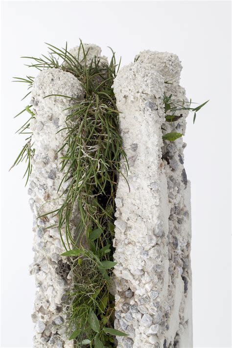 Jamie North Fills Concrete With Australian Plants Ignant