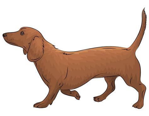Dachund Clipart 10 Free Cliparts Download Images On Clipground 2023