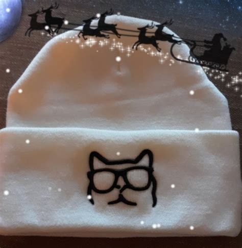 Me Me Me Me On Twitter Rt Bbeelight1 Merry Christmas My Catturd Beanie Just Arrived