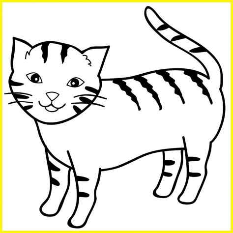 99 Sketsa Gambar Kucing Lucu Unik Menarik Menggemaskan Sindunesia