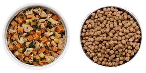 The Best Natural Dog Food For 2022